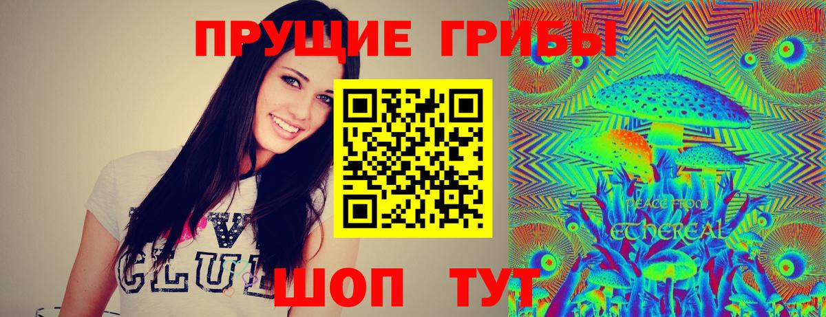 купить наркотики сайты  Псилоцибиновые грибы ЛСД  Вход с VPN  Новоалександровск 